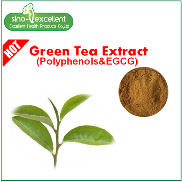 Natural green tea extract with polyphenol